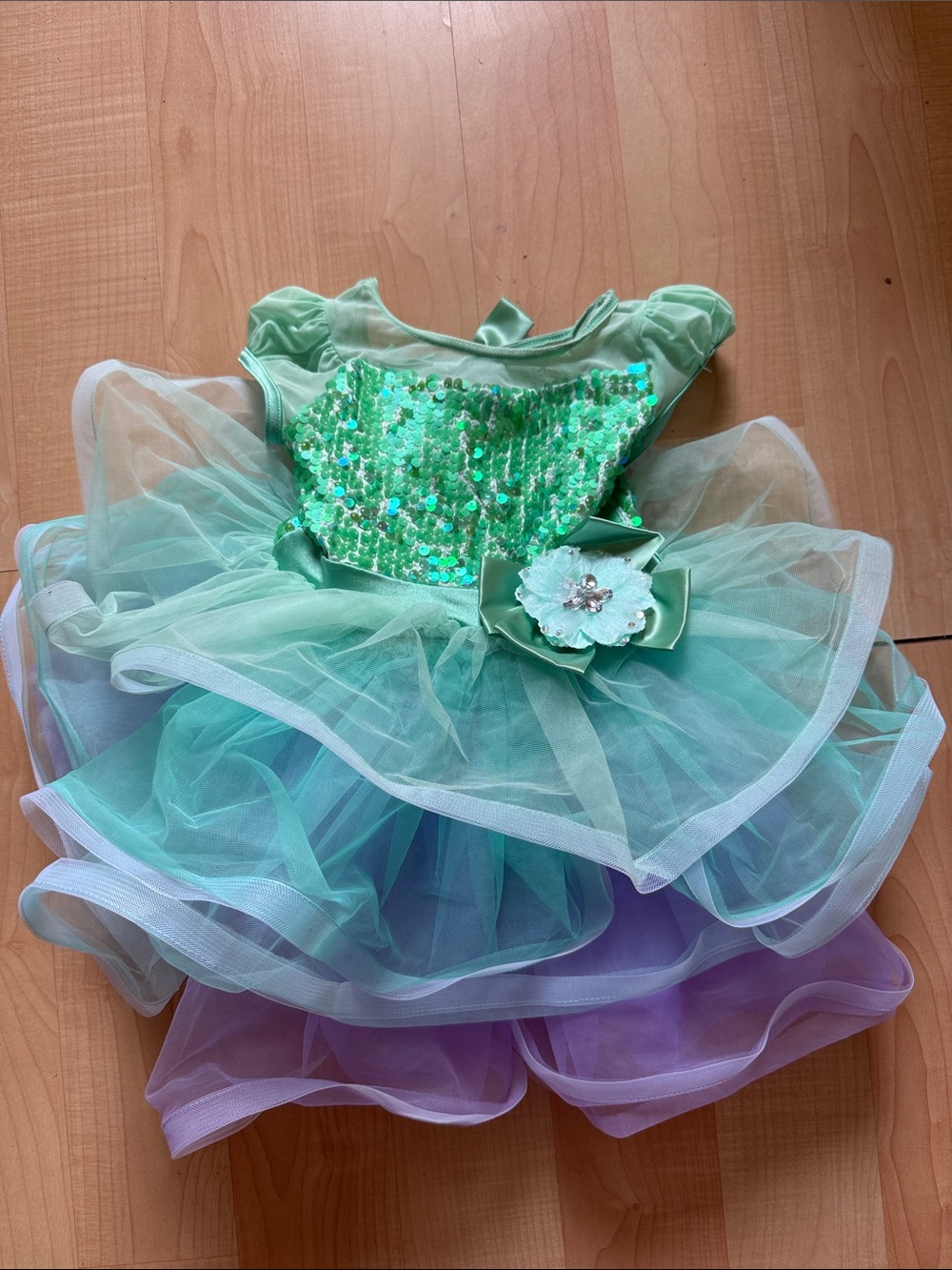 Green Sequin Tulle Princess Costume Dress